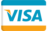 Visa Card Icon2