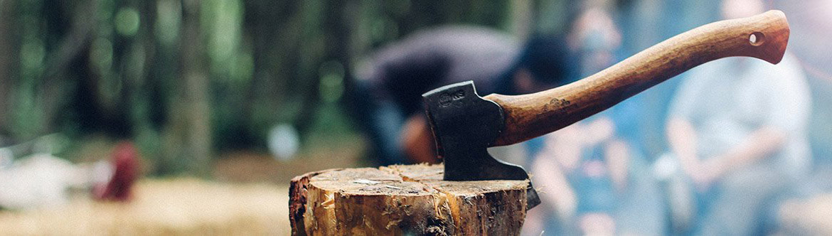 Types of Firewood