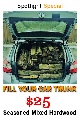 trunk new
